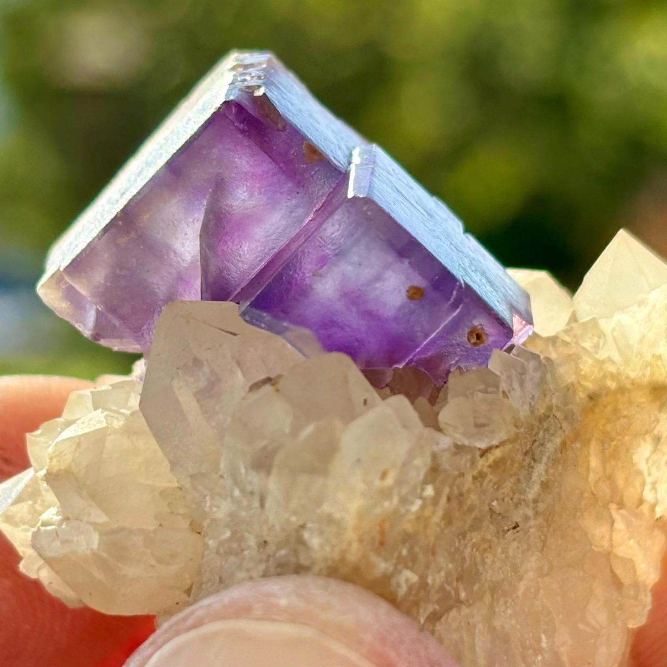 Violetter Fluorit auf hellem Quarzkristall Violetter Fluoritkristall mit glänzenden, geometrischen Flächen auf einer hellen Quarzmatrix mit cremefarbenen Kristallen.